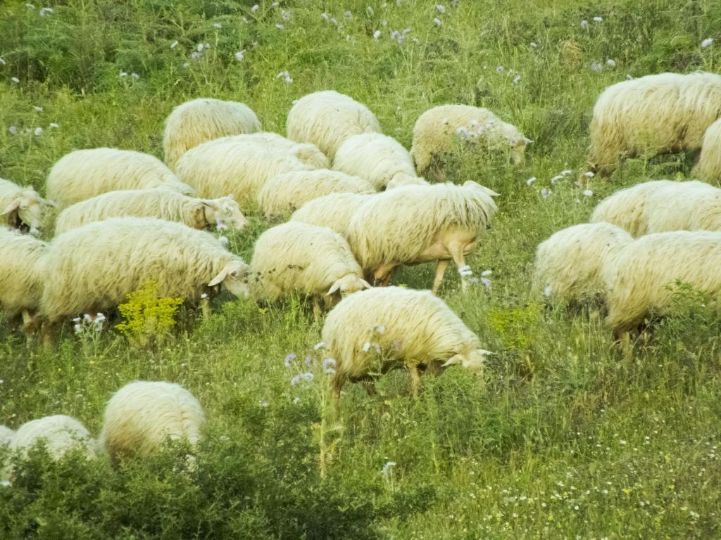 Tenuta Su Vrau Posada  Zewnętrze zdjęcie