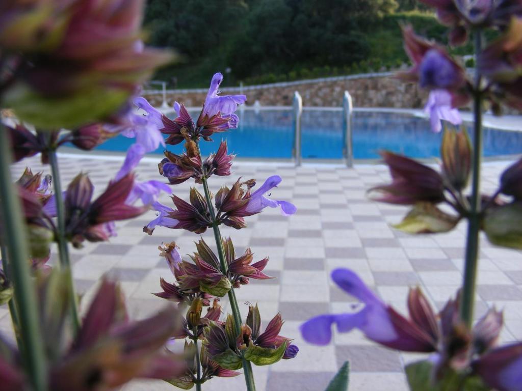 Tenuta Su Vrau Posada  Zewnętrze zdjęcie